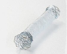 Taewoong Medical Co., Ltd Niti-S Biliary BUMPY Stent | Used in Biliary Stenting  | Which Medical Device